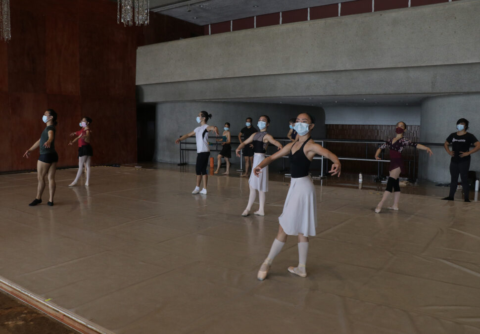 CCP Professional Dance Support Programme