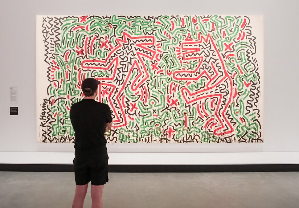 Pop Masters: Art from the Mugrabi Collection, New York at HOTA Gallery