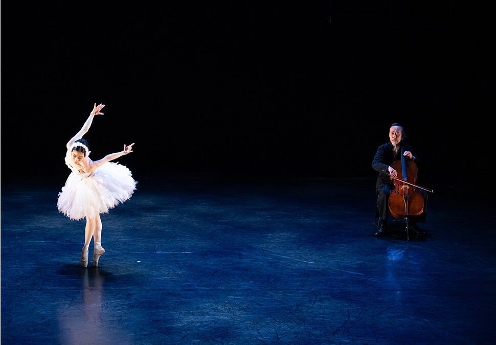 Two dance works co-produced by Aichi Arts Center is set to perform in three US cities this May